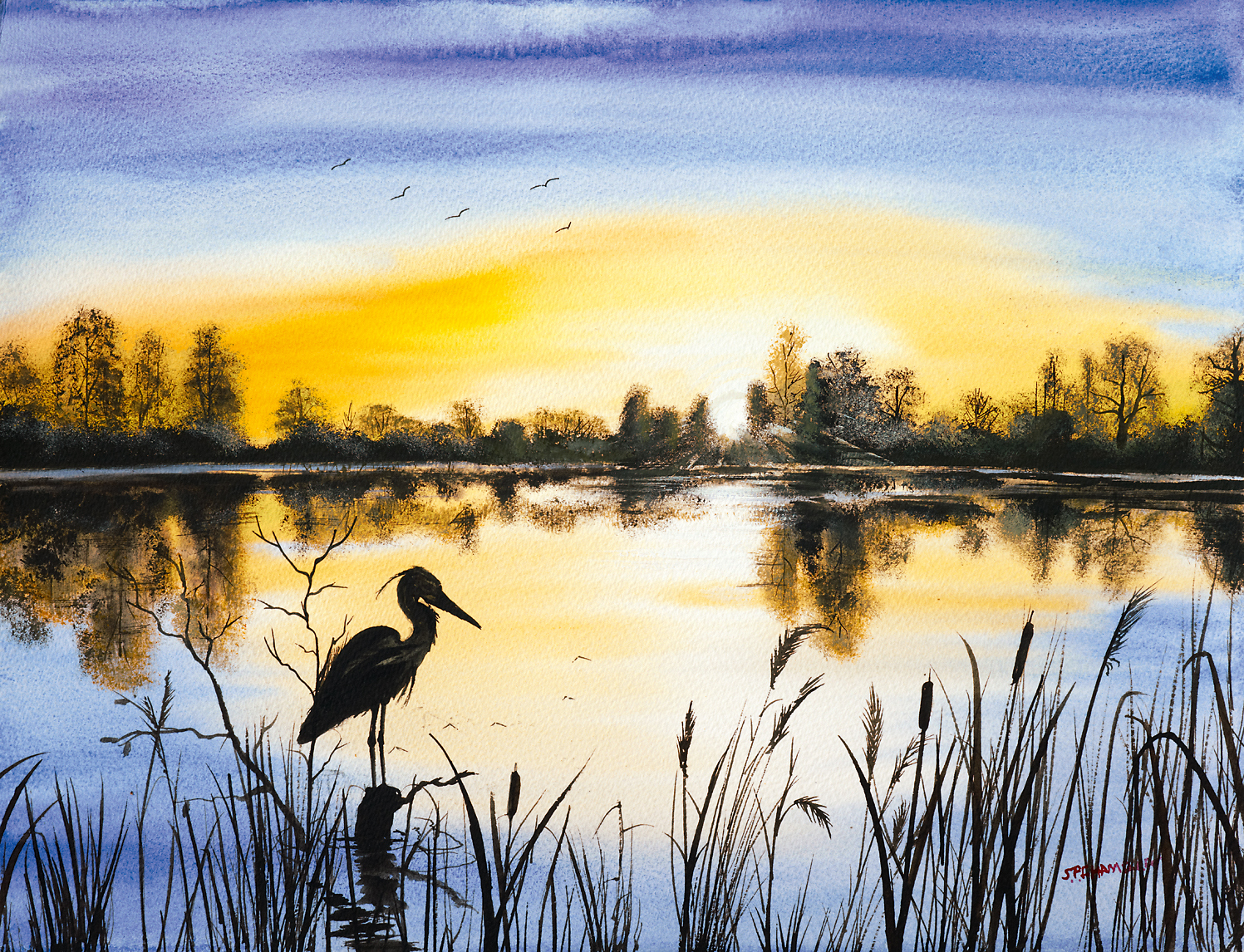 Stephen Chamber The Heron