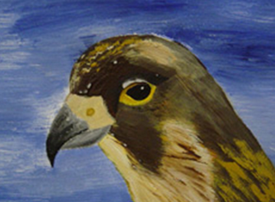 MFPA Eagle Pauline Angus