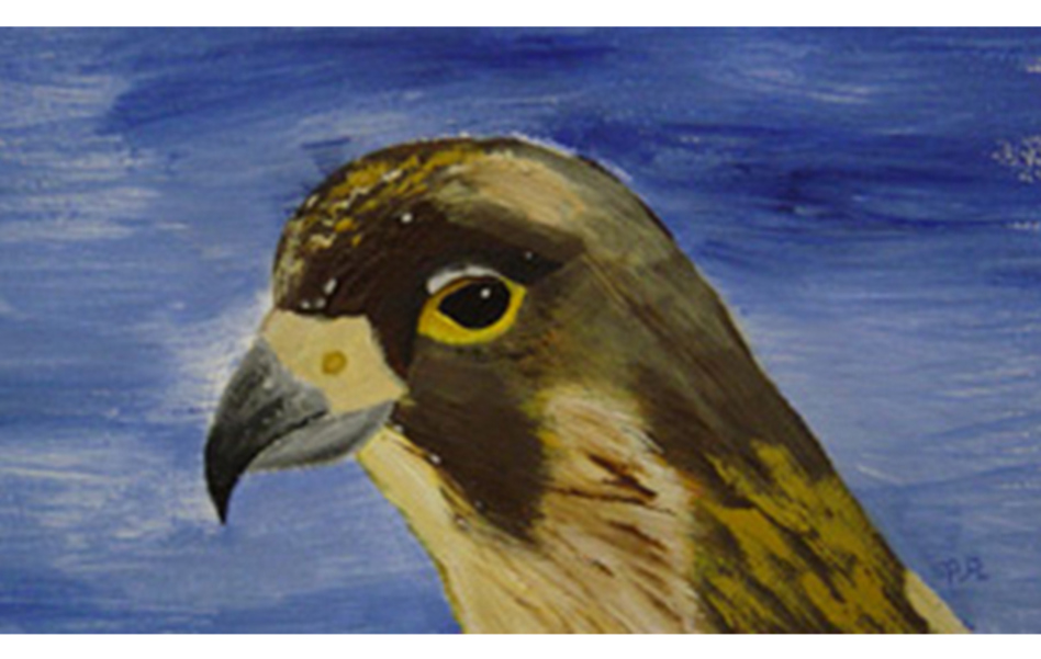 MFPA Eagle Pauline Angus