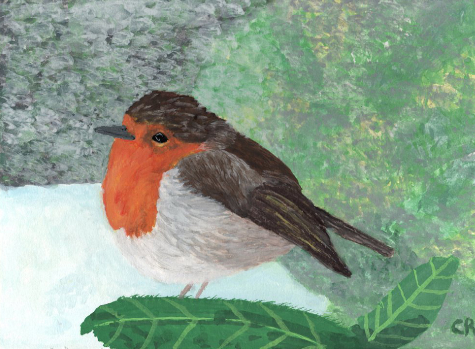 Robin